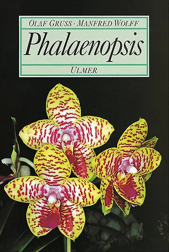 Phalaenopsis zustand sehr gut - zustand,