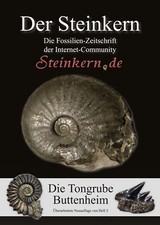 DER STEINKERN 2 (3. Auflage