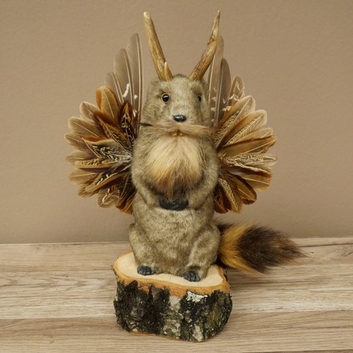 Wolpertinger murmel präparat - wolpertinger,