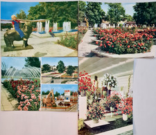 DDR Postkarten LOT 4 x ERFURT