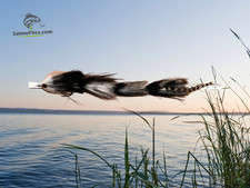 XL Profi-Streamer 24cm –