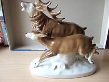 Hirsch mit Hirschkuh  Reh