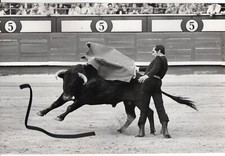 30x20 Vintage Archiv Foto 1970 Gigi Stierkampf Torero Luis Miguel Dominguin  B/F