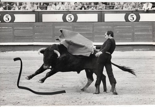 30x20 vintage archiv foto - foto, 1970