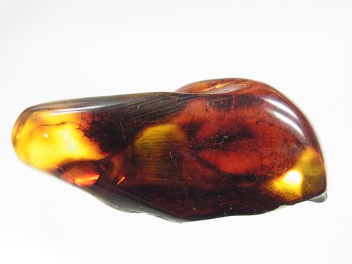 Schöner großer honig amber - schöner,