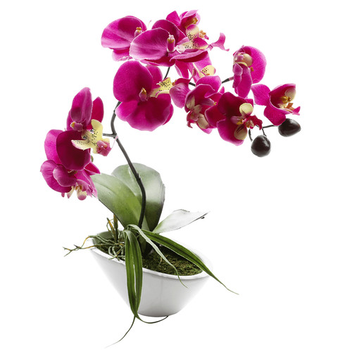 Künstliche orchidee topf - orchidee, im