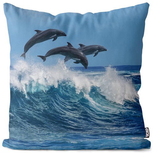 Delfine welle meer atlantik - welle,