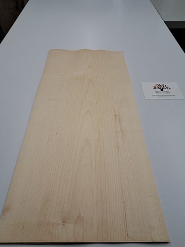 Ahornfurnier naturholz - ahornfurnier,