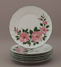 Kuchenteller 19,5cm Winterling  Kirchenlamitz   Wildrose dessert teller