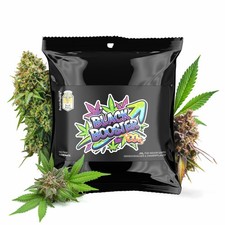 Hoch & Highlig Black Booster CO2-Beutel für Pflanzen - Für Indoor-Grow