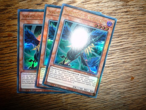 Yugioh schwarzflügel bora der - yugioh,