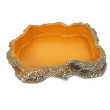 Reptilien-Wassernäpfe