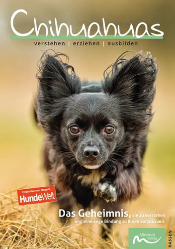 Chihuahuas verstehen - chihuahuas, |