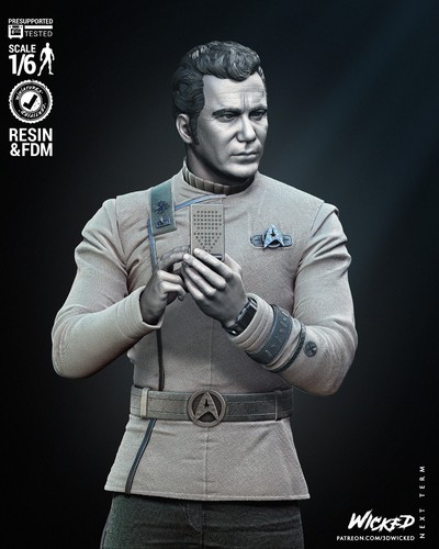 Kirk star trek 4 - star, 1/4-1/24