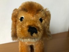 Steiff Dackel mit Halsband + Originallabel Schild ab 1969 Stofftiere Rarität