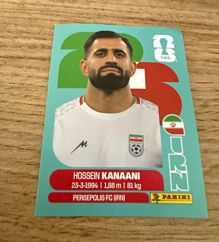 Panini fifa world cup - fifa,