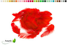 80-100 Bastelfedern 5 -10 cm