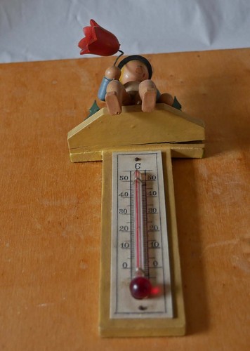 Thermometer mit blumenkind - thermometer,