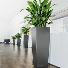 Lechuza 'Cubico Alto 40'