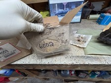 SPINETT 6002  NEW WATER PUMP