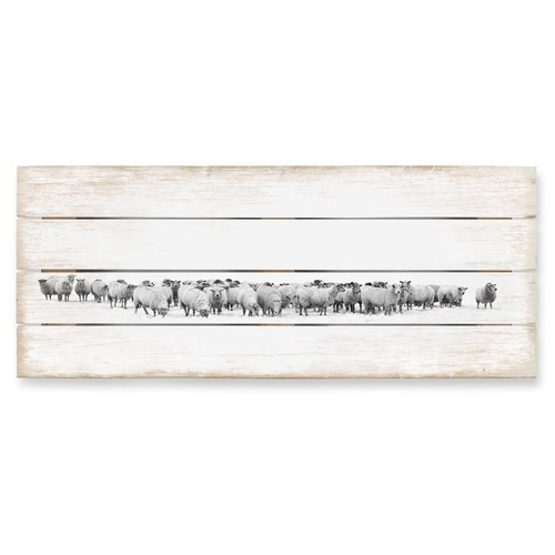 Holzbild schafherde panorama - schafherde,