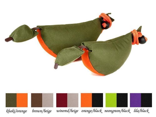 Mystique bird dog - dog, dummy