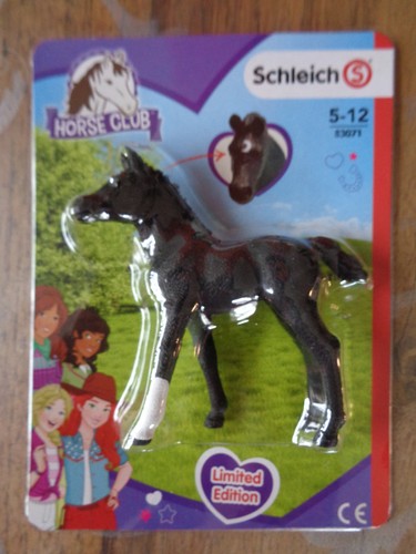 Horse club schwarzes fohlen - club,