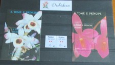 Motive orchideen - motive,