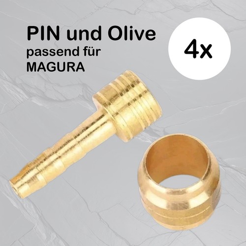 Olive und pin für - olive, (4