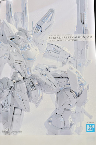Bandai mgex 100 strike - 1/100,