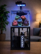 REEFIO Floating Pico Reef 4L
