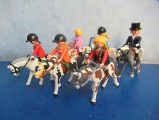 6 Pferde  Zaumzeug Reiterin