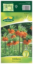 Kaiserkrone "Orange"  Blumenzwiebeln  Quedlinburger