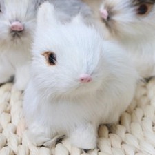 Lebensechter Osterhase, realistischer Plüschhase als Sammelgeschenk für