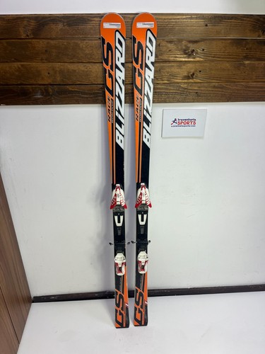 Blizzard race world cup - cup, gs