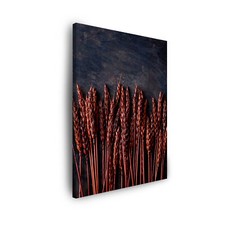 Leinwand-Bilder: Pflanzen -