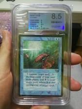 MTG MAGIC THE GATHERING MANA