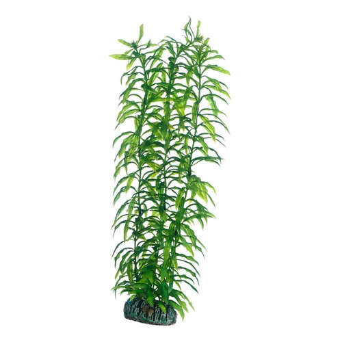 Hobby heteranthera cm - heteranthera,