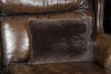 1375 Geschorenes Biber