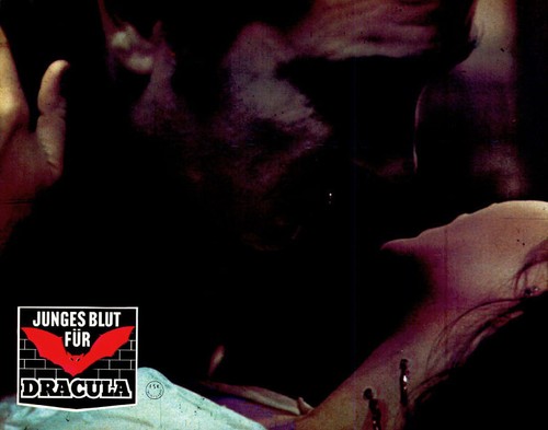 Junges blut für - blut, dracula