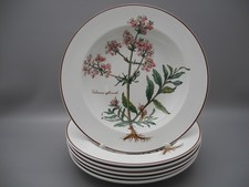V&B Villeroy & Boch 6 Suppenteller BOTANICA Luxembourg tiefe Teller