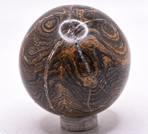 46mm stromatolith sphäre - 46mm,