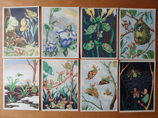 Rudolf Fust - 8 alte