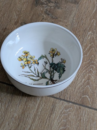 Villeroy boch botanica - villeroy,