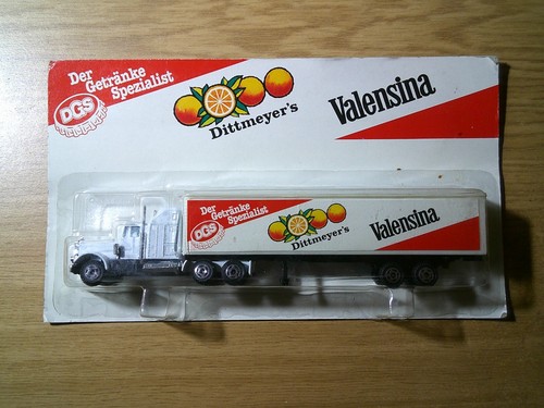 Dittmeyers valensina - valensina, us