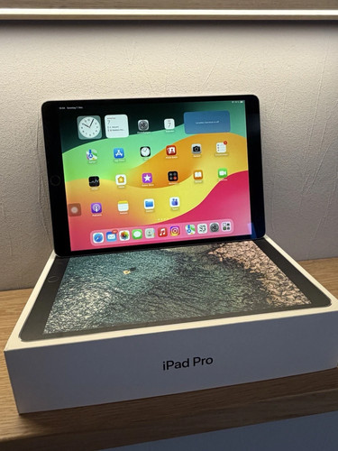 Apple ipad pro inch 256gb - apple,