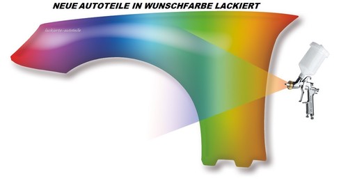Kotflügel wunschfarbe - in,