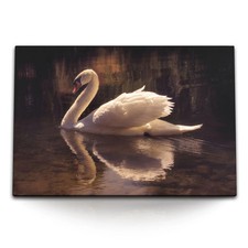 120x80cm Wandbild auf Leinwand