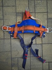 Bornack Fallstop PR4 Sicherungsgurt