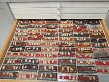 Kunststoffzähne div. Restposten Vitapan Ivoclar Bioplus Artiplus 00691